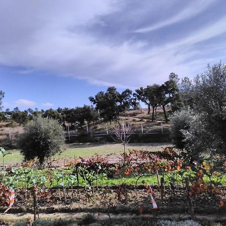 Monte Familia Ferreira Hotel Vale de Acor Екстериор снимка